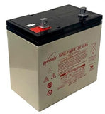 EnerSys Genesis NP55-12FRF Battery with Flame Retardant Case