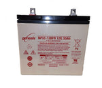 EnerSys Genesis NP55-12FRF Battery with Flame Retardant Case