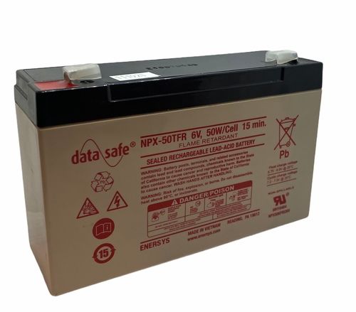 EnerSys Datasafe NPX-50FR Battery with Flame Retardant Case